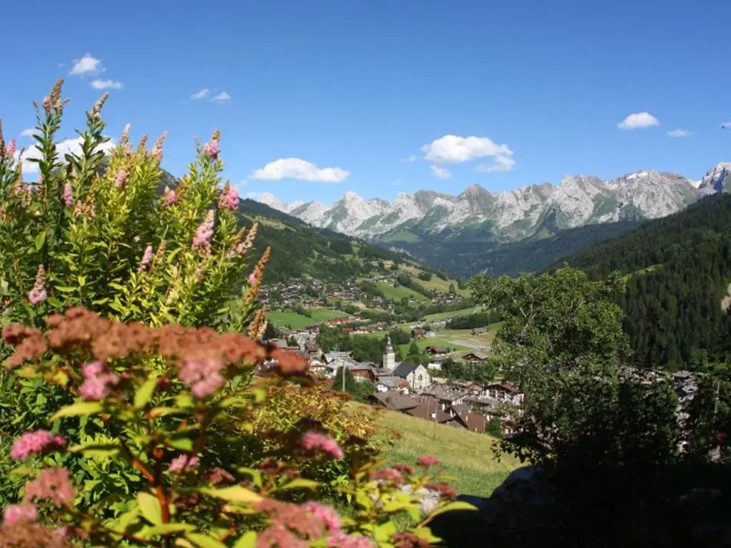 Appartement Le Grand-Bornand, 1 pièce, 3 personnes - FR-1-467-72