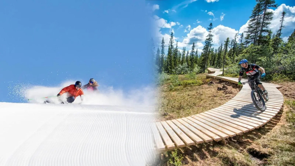 Håvi Solsiden Trysil en koselig hytte - ski in og ski out