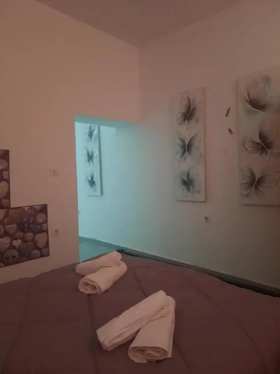 Evis Rooms