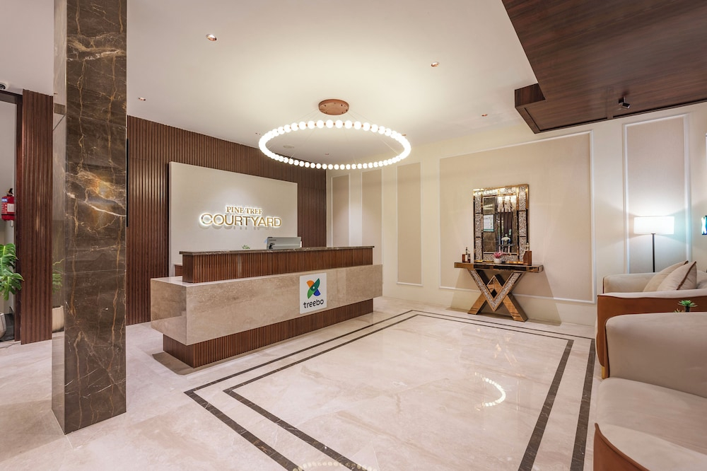 Treebo Premium Pine Tree Courtyard