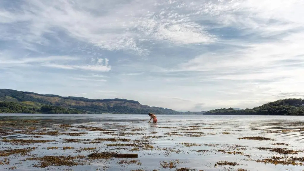 Little Fox Lodge Hideaway Glencoe - 5 Star with Hot Tub overlooking Loch Linnhe