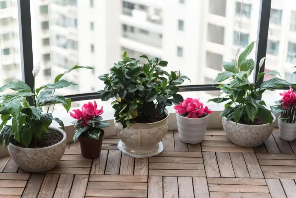Haikou Meilan·Hainan Univeristy· Locals Apartment 00141450