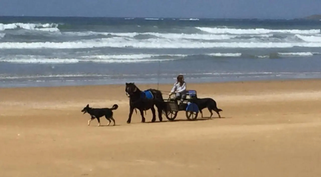 Appt T2 Proche Plage