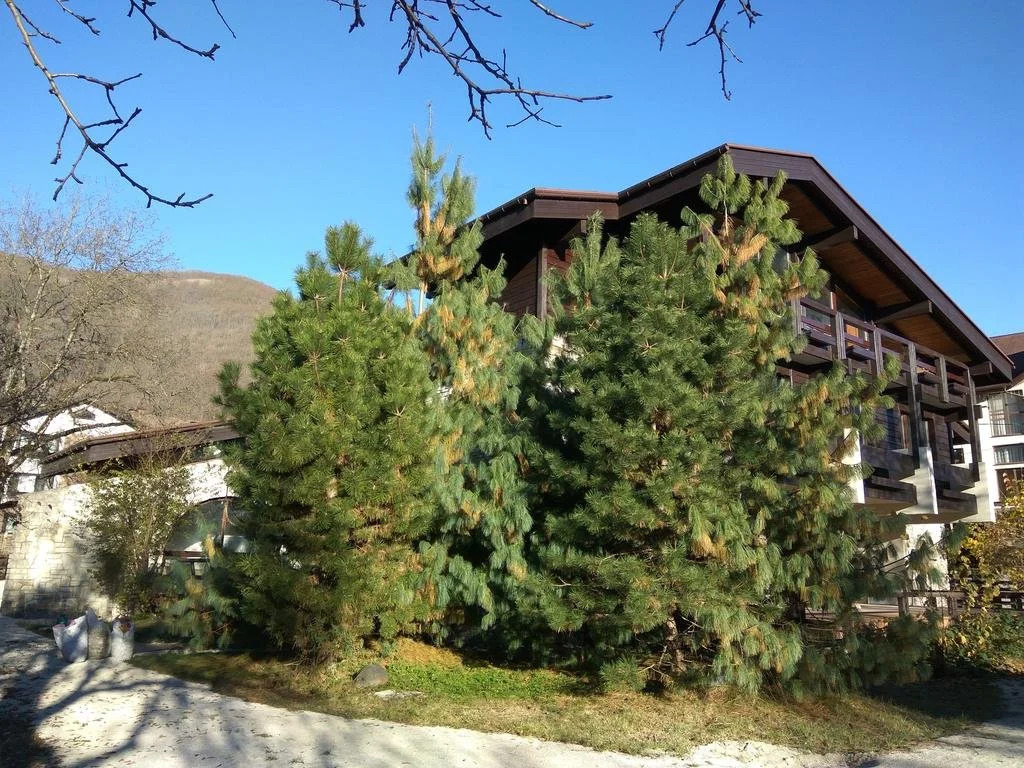 Guest House Raduzhniy 1