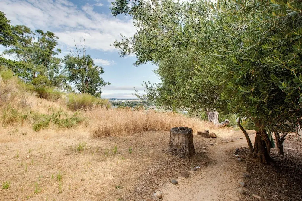Lovely Belmont Apartment w/ Stunning Views!