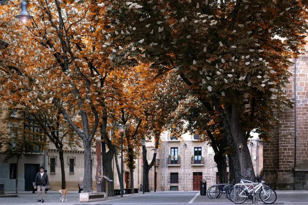 TOP APARTMENT frente a la Catedral