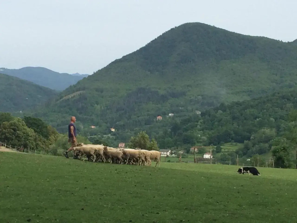 Agriturismo dei Legi