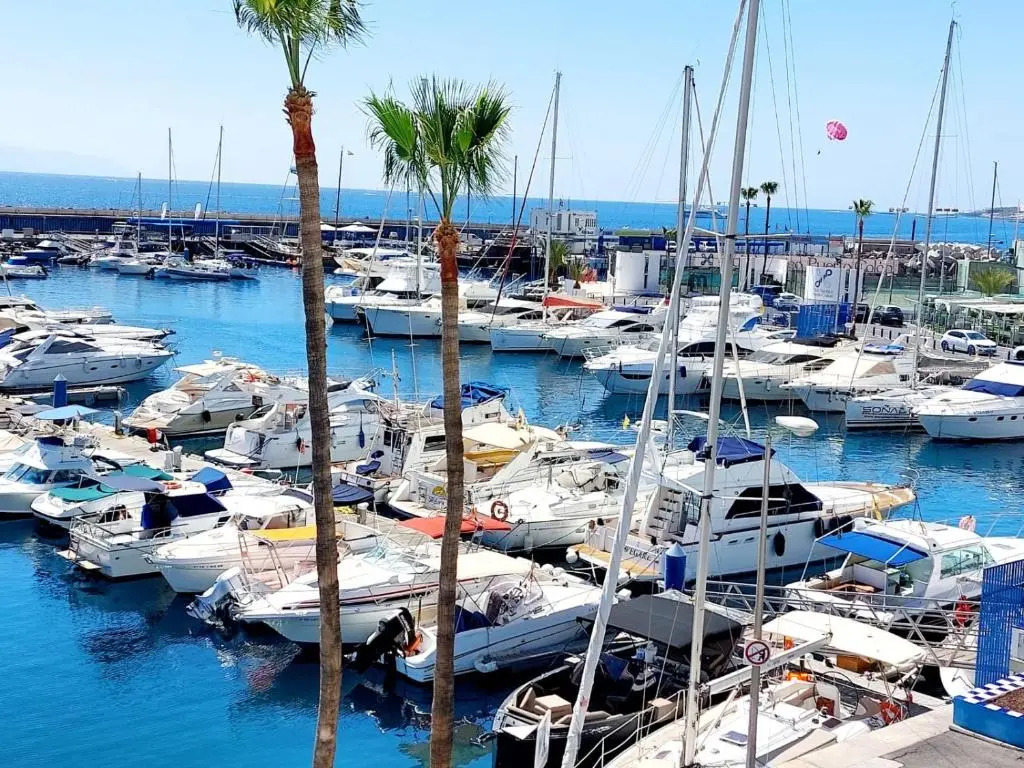 FIRST LINE Los Geranios Ocean View Apartment 50 m from La Pinta beach