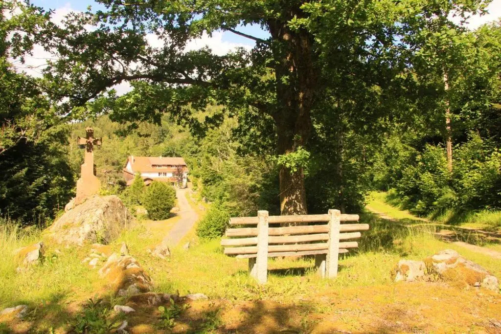 Chalet de 4 chambres avec jardin et wifi a Ban sur Meurthe Clefcy