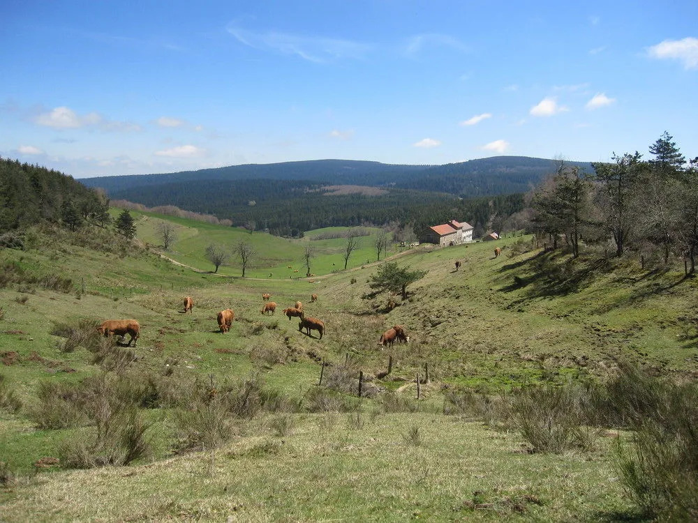 Le Relais De Clavières