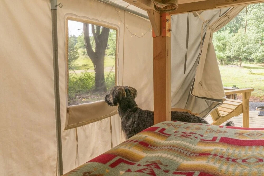 Tentrr - Bakerâ s Spring Horse Camp