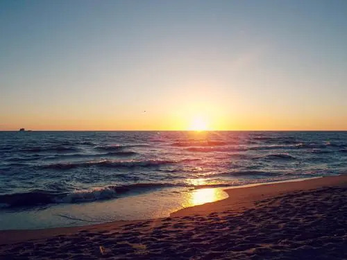 SunKiss