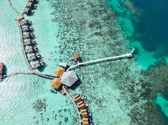 Jelly Sea Resort