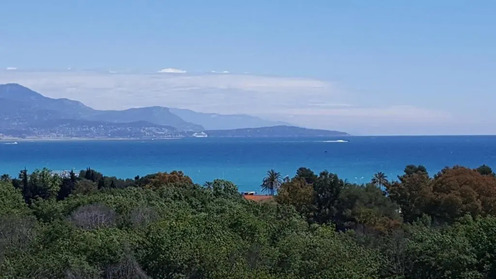 Studio vista