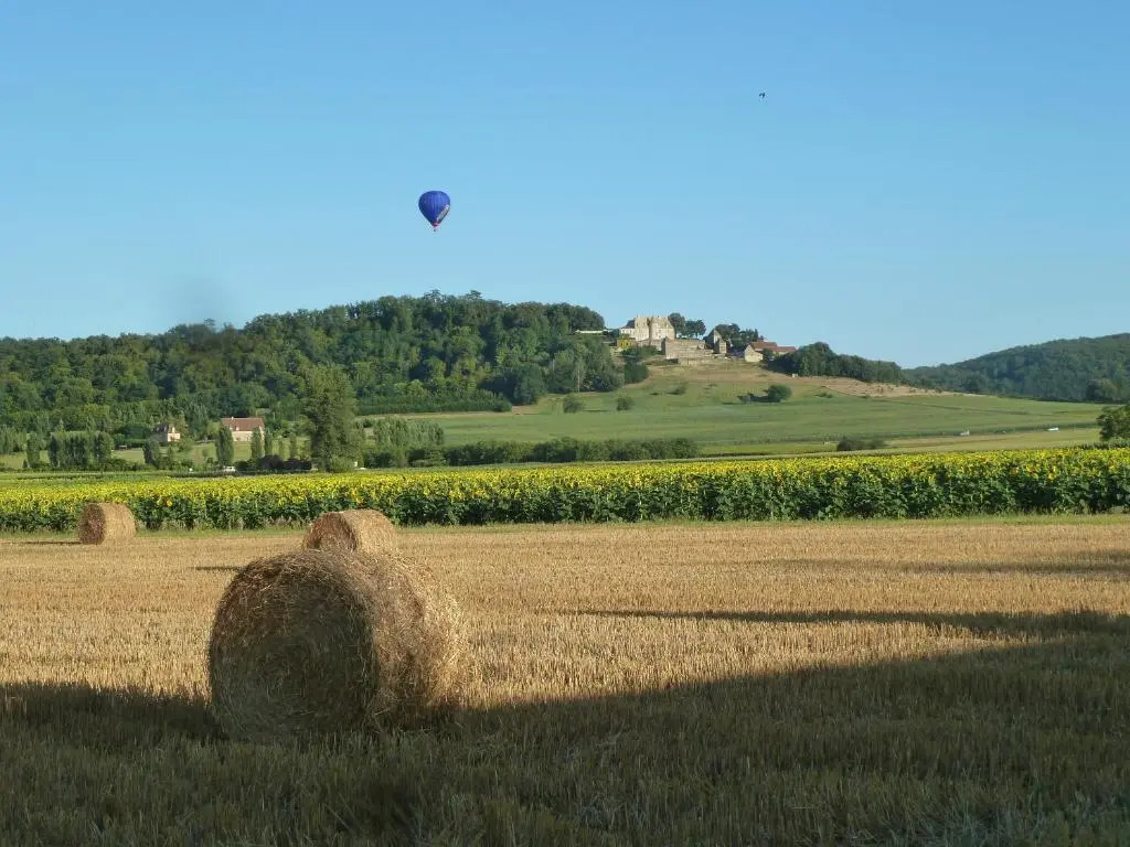 Appartement centre médiéval - Le Cosy de Sarlat