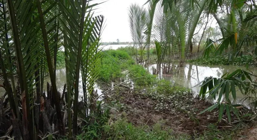 Hong Thai Homestay