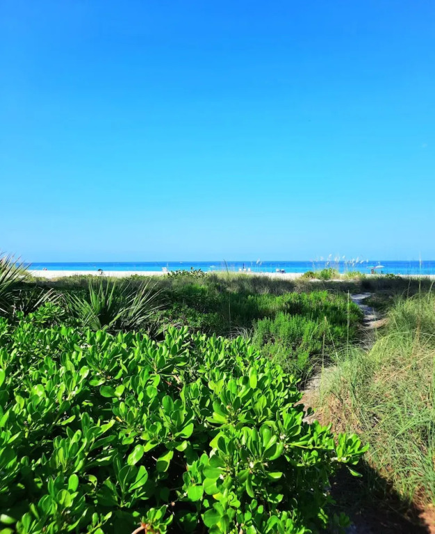 Sunset Beach Condo #54455