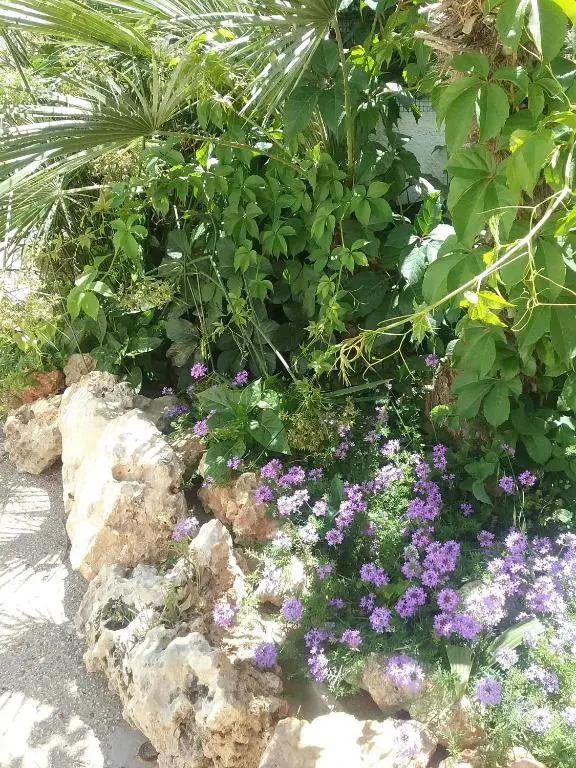 Residence San Vito