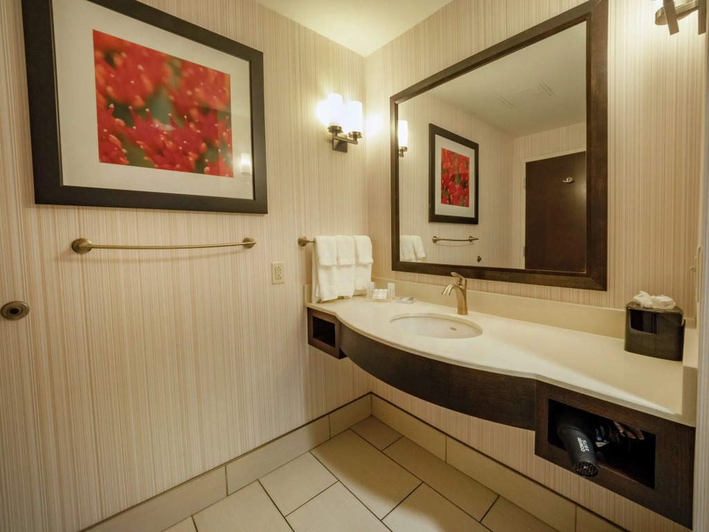 The Hilton Garden Inn Buffalo-Downtown