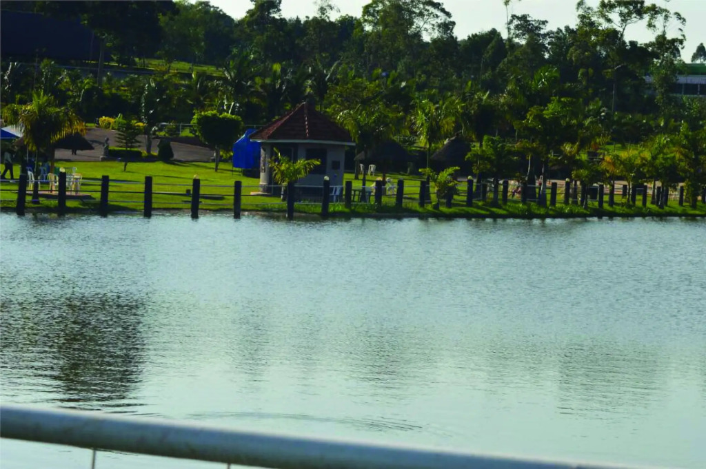 Forest Park Resort Buloba