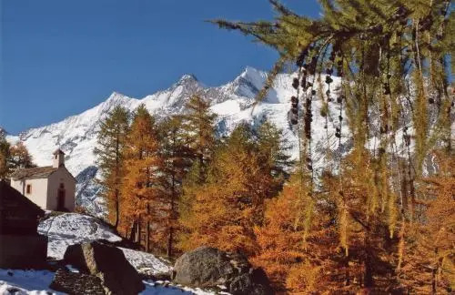 Chalet Le Camée
