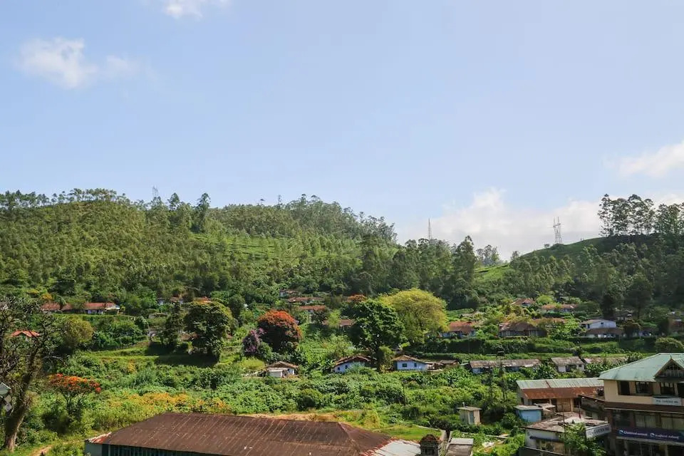 Bellmount Resorts