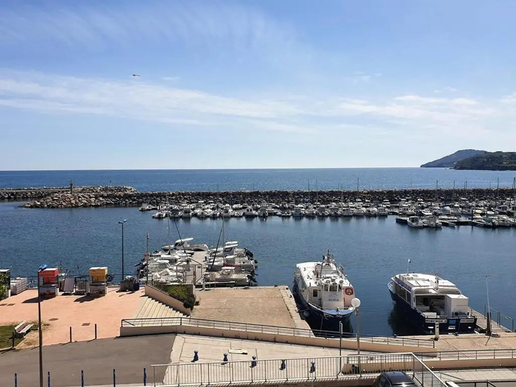 Appartement Argelès-sur-Mer, 3 pièces, 6 personnes - FR-1-388-187