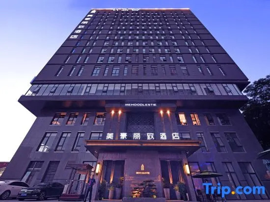 Mehood Lestie, Xian Jiaotong University Xijing Hospital Changle Park