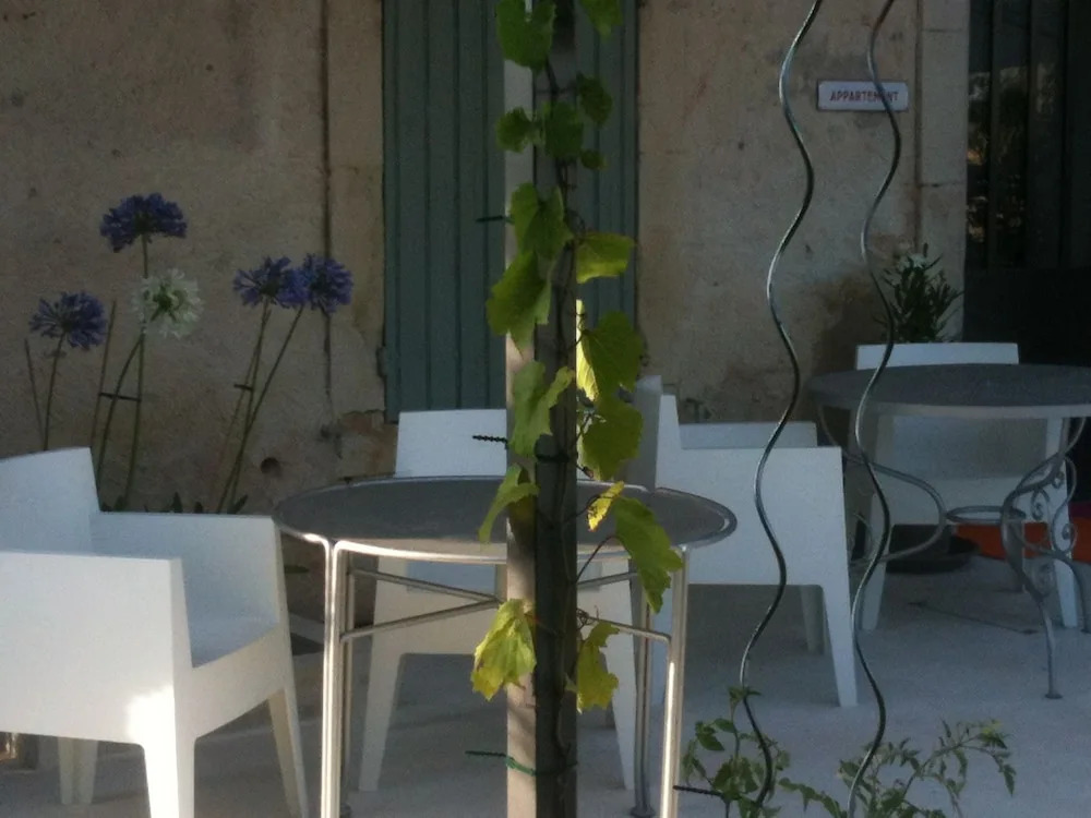 LEsperluette - Gîte Orange et Gîte Framboise