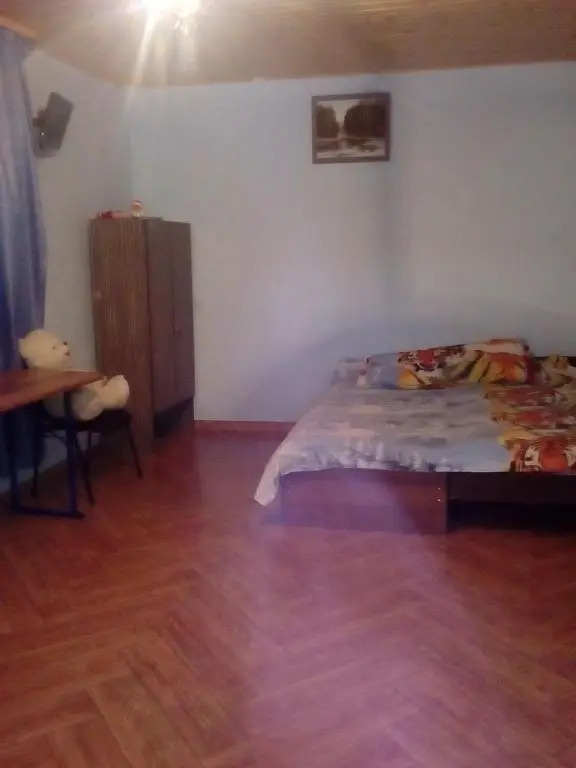 Guest House on Shapsugskaya 16