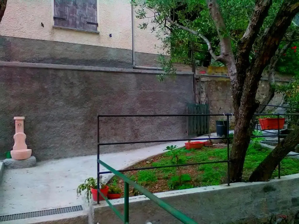 Casa dellulivo