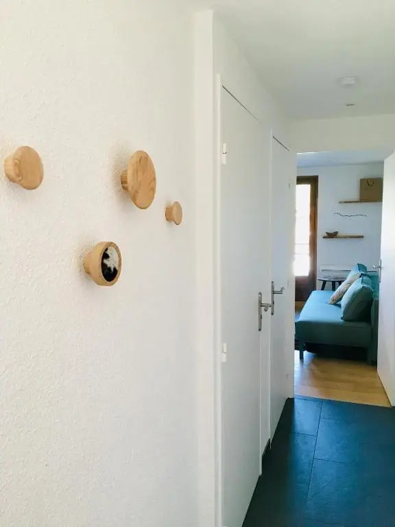 Appartement cosy et chaleureux à Megève avec vue sur le Mont Blanc