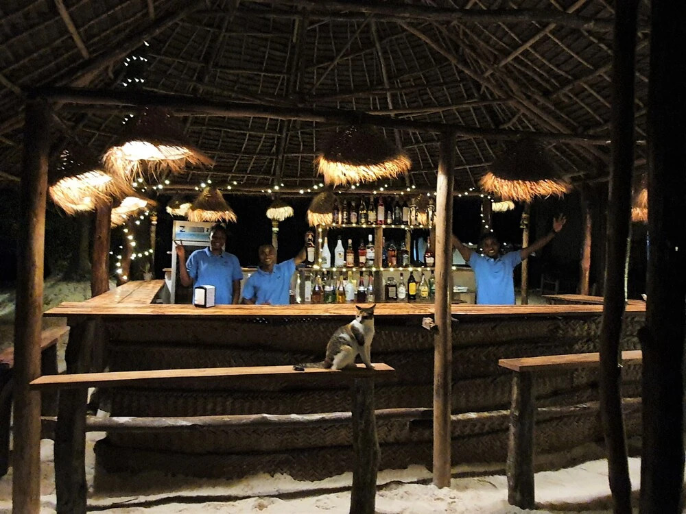 Blue Palm Zanzibar