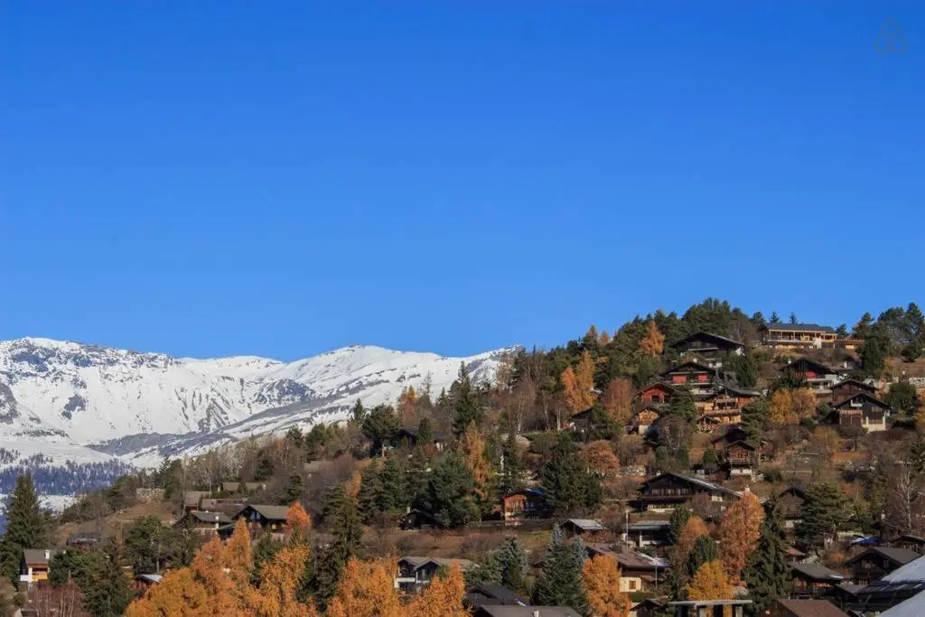 Charmant appartement au coeur de Vercorin