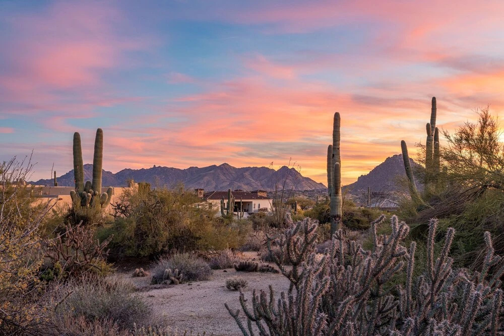 Secluded Palatial Desert W/ Infinity Pool 5 Bedroom Home
