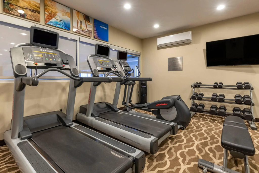 Comfort Inn & Suites North Dallas-Addison