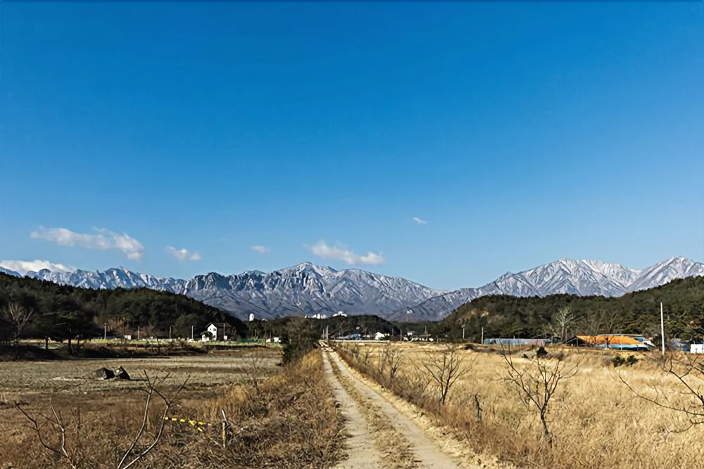 Goseong (Sokcho) Sujabyeol Pension(고성(속초) 수자별펜션)