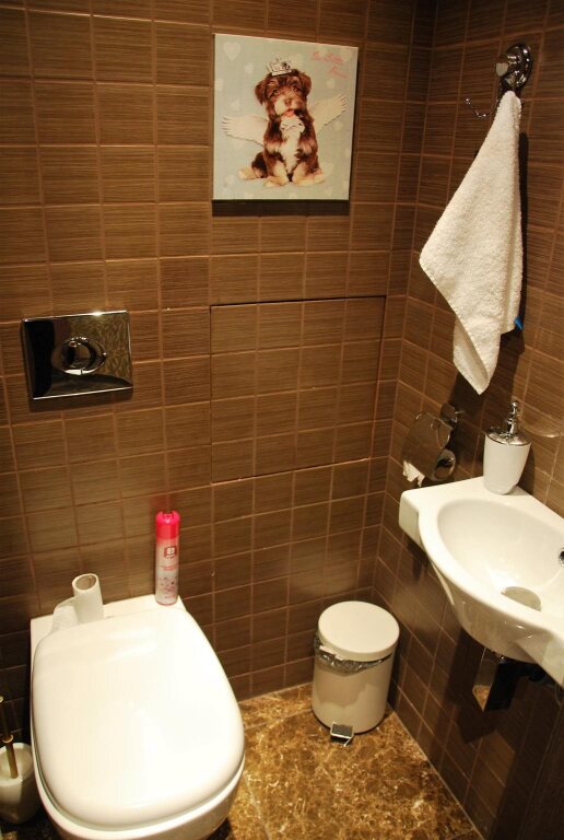 Hostel Silver Owl
