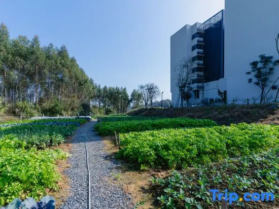 Yunmen 5 Seasons Argyle Resort Hotel