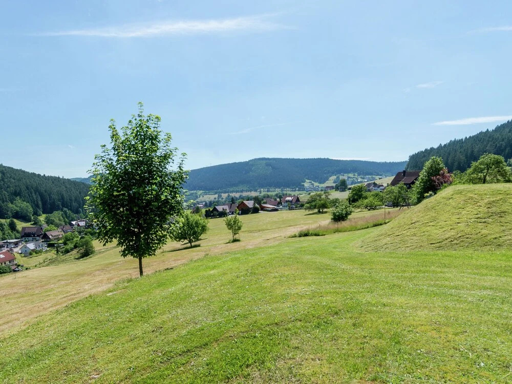 Quietly Situated Bright Apartment In Baiersbronn With Private Balcony