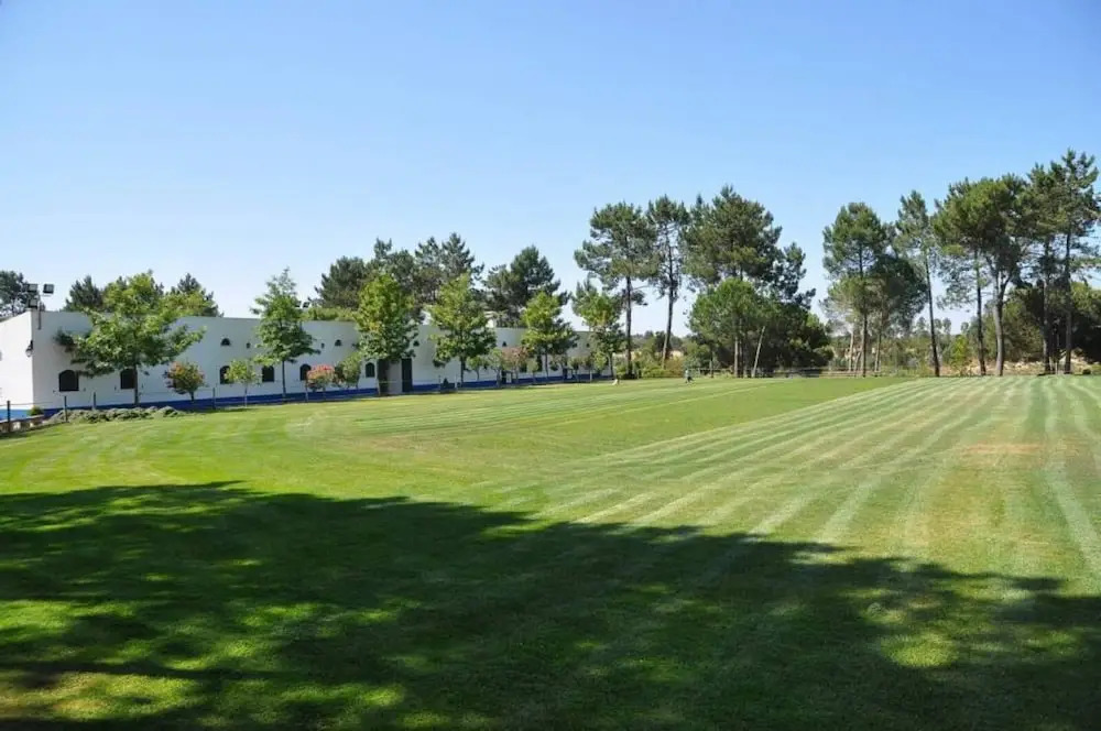 The Camp