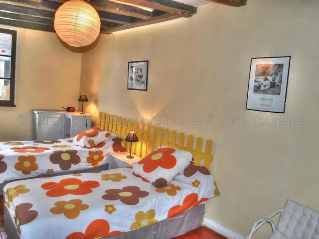 Gîte 18e avec piscine, jardin et équipements inclus, près des Châteaux de la Loire - FR-1-381-212