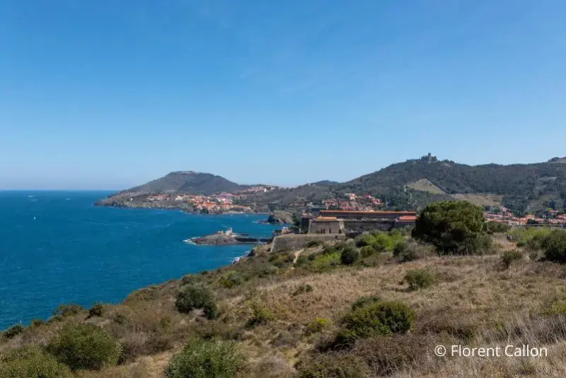 Vvf Villages Leucate