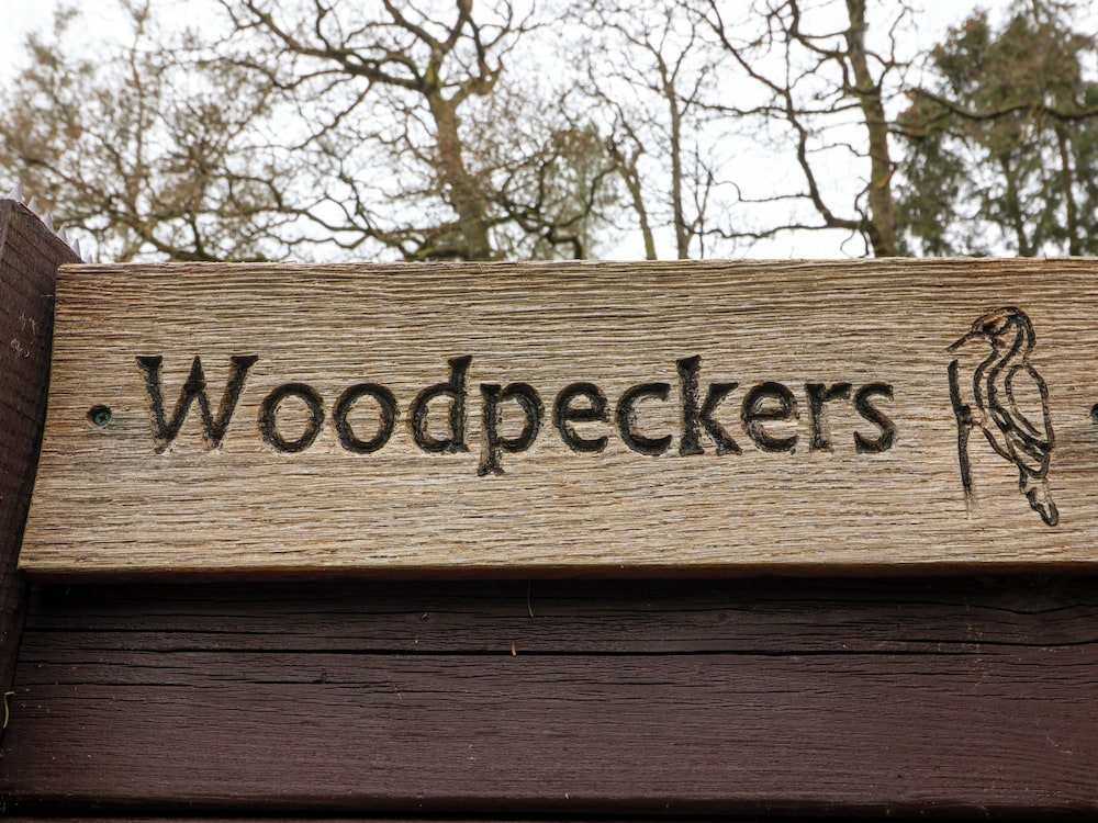 Woodpeckers