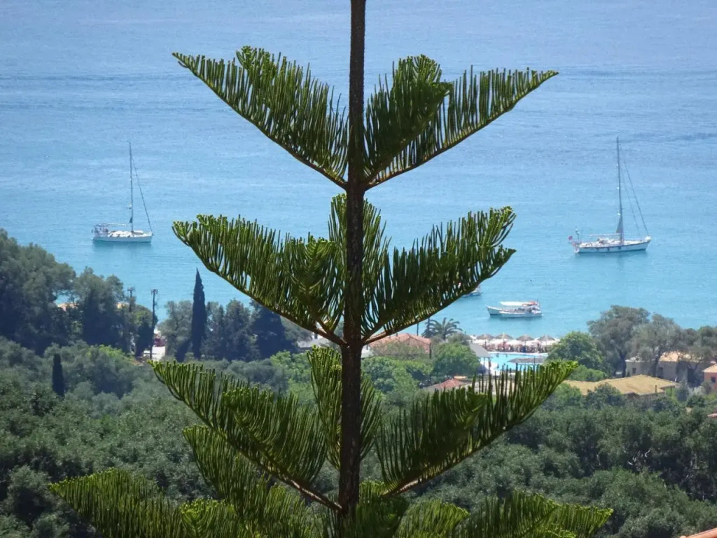 Studios Ristas Kostas