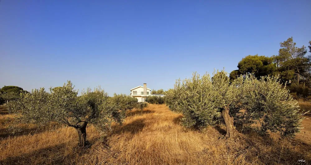 Tramonto Di Olive Gorgeous Villa by VillaRentalsgr