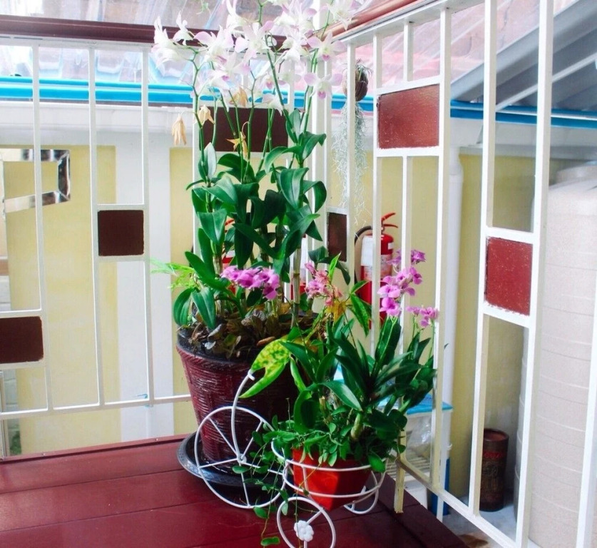 Star Hostel Tokslip