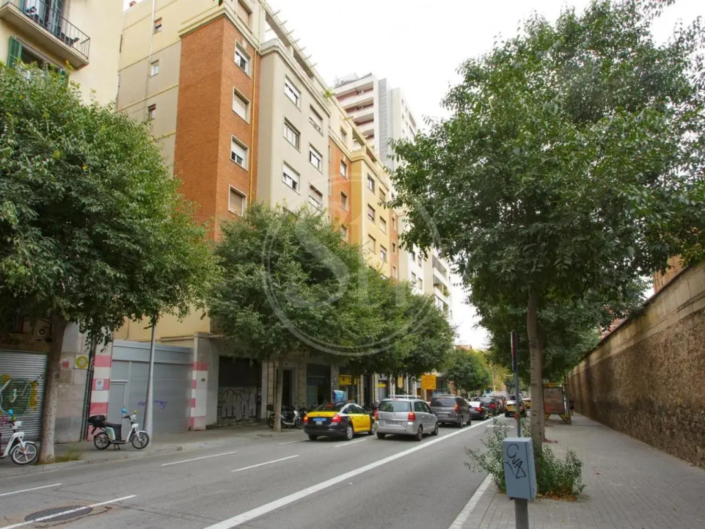 Apartamentos Monumental Design