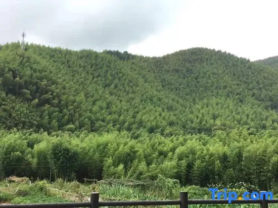 Moganshan lead yunshan family vacation beautiful villa
