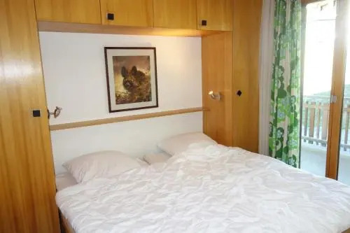Gentianes COSY & MOUNTAIN apartments